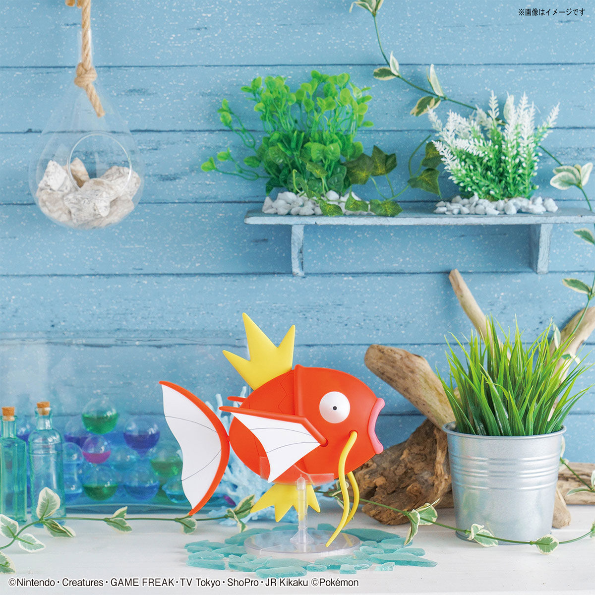 Model Kit Quick! Giant Magikarp