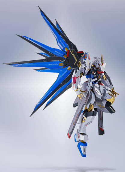 STRIKE FREEDOM GUNDAM TYPEⅡ "GUNDAM SEED FREEDOM", TAMASHII NATIONS METAL ROBOT SPIRITS