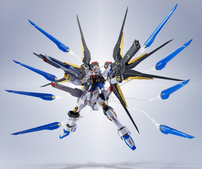 STRIKE FREEDOM GUNDAM TYPEⅡ "GUNDAM SEED FREEDOM", TAMASHII NATIONS METAL ROBOT SPIRITS
