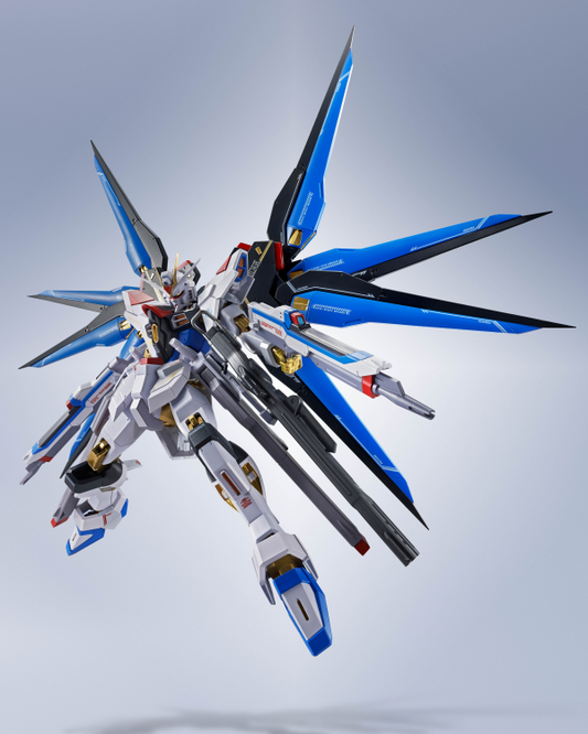 STRIKE FREEDOM GUNDAM TYPEⅡ "GUNDAM SEED FREEDOM", TAMASHII NATIONS METAL ROBOT SPIRITS